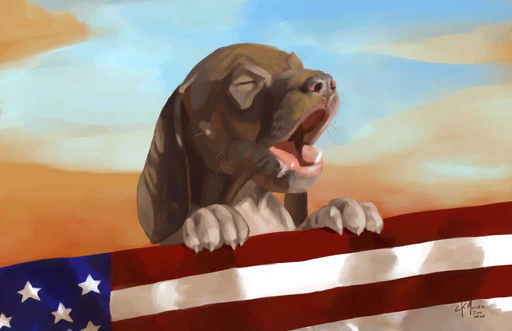 Patriot Dog